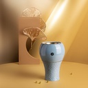 Incense Burners From Crown - Blue