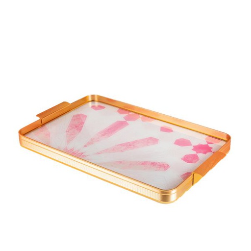 [AM1146] Aluminium Tray From Amal - Pink